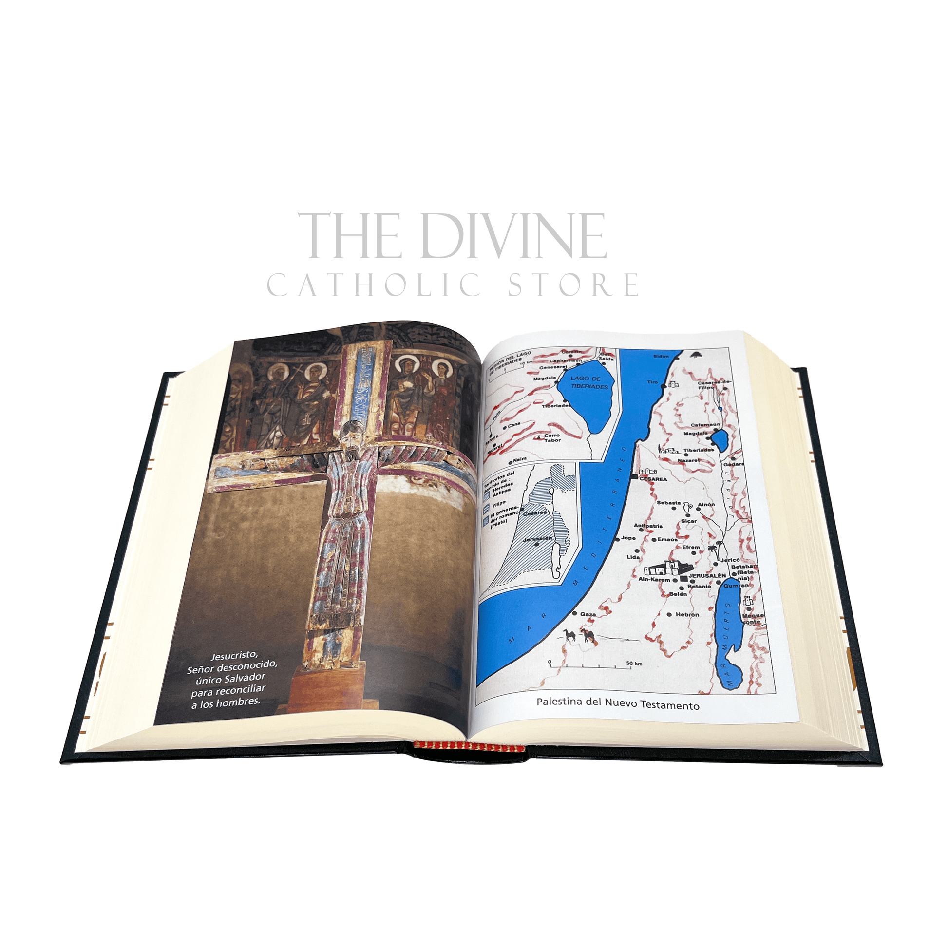 Portable La Biblia Latinoamericana in green, featuring indexed tabs and a durable design for personal study, opened to middle of book showing vibrant images and maps.